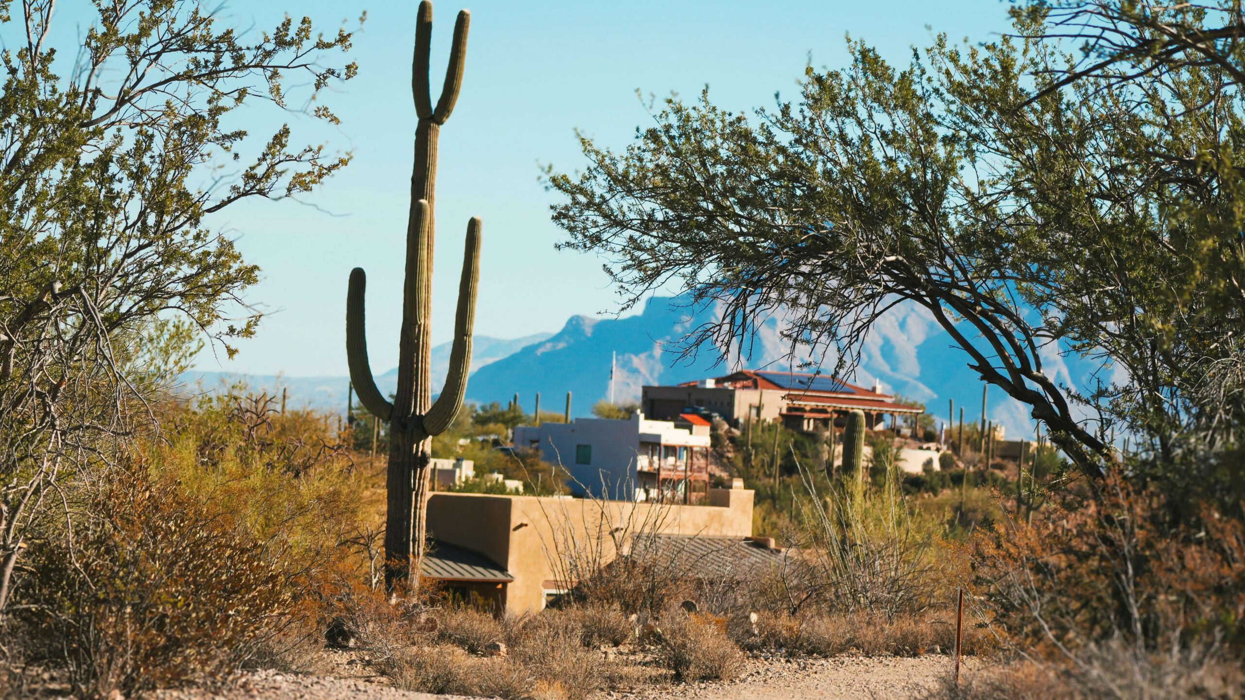 Arizona desert residential property with saguaros and mountain views